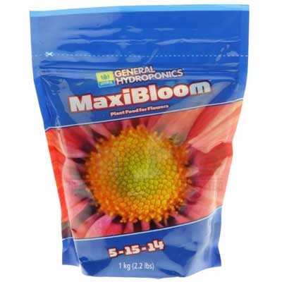 Maxi Bloom GHE 1кг