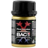 Final Solution BAC