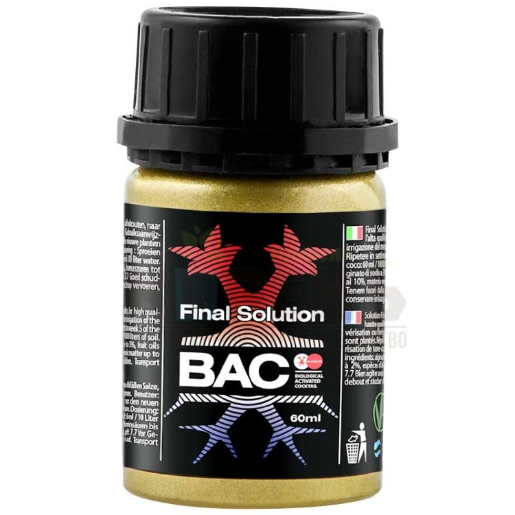 Final Solution BAC