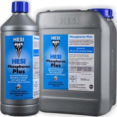 Phosphorus Plus HESI